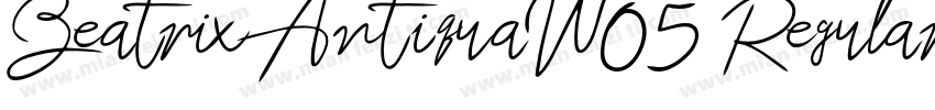 BeatrixAntiquaW05 Regular Regular字体转换